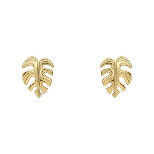 Beginnings Sterling Silver Earrings E6500 Beginnings Jewellery