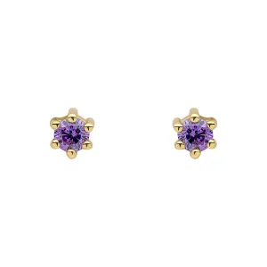 Beginnings Sterling Silver Purple Cubic Zirconia Amethyst Earrings E6468M Beginnings Jewellery