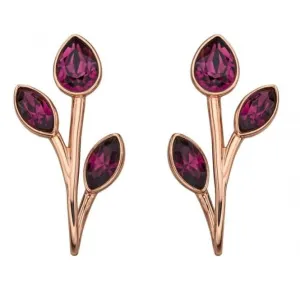 Elements Silver Rose Gold Amethyst Swarovski Front Back Earrings E5730M Beginnings Jewellery