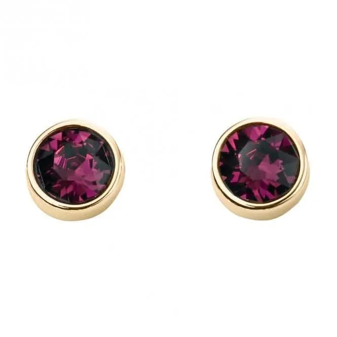 February Yellow Gold Plated Birthstone Earrings with Swarovski Crystal E1538 Beginnings Jewellery