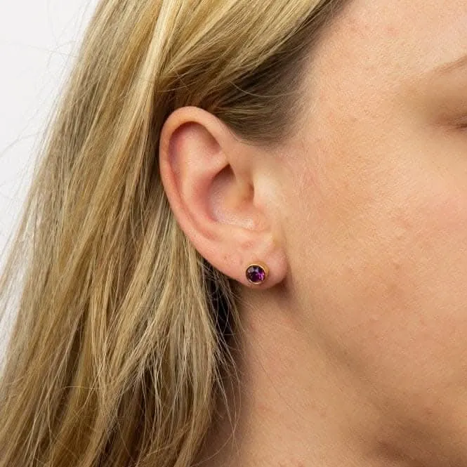 February Yellow Gold Plated Birthstone Earrings with Swarovski Crystal E1538 Beginnings Jewellery