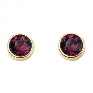 February Yellow Gold Plated Birthstone Earrings with Swarovski Crystal E1538 Beginnings Jewellery