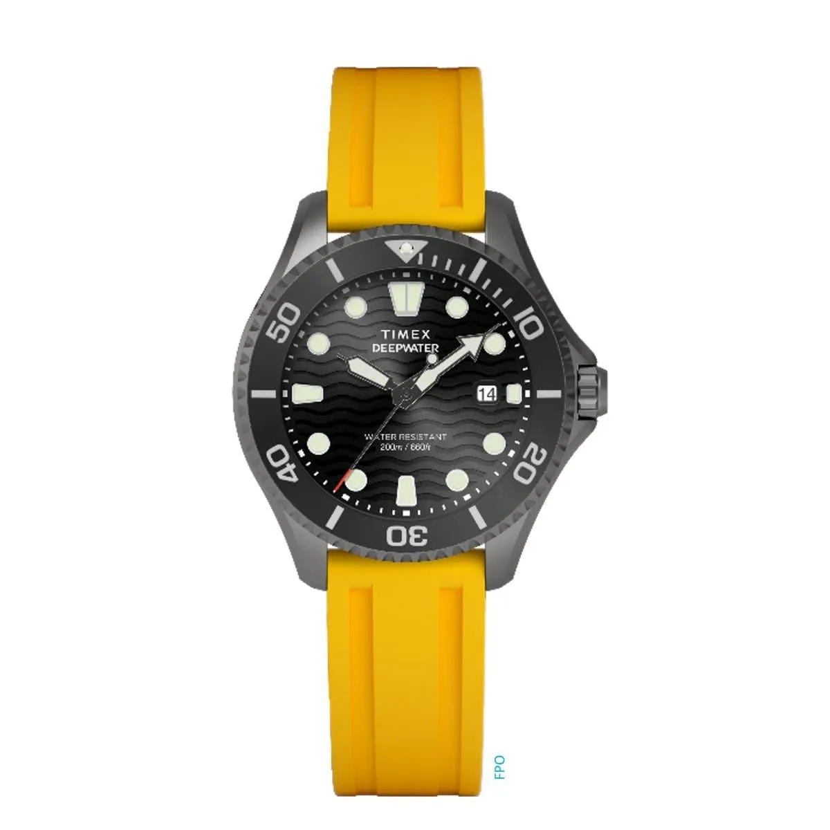 Gents Deep Water Meridian Gunmetal Watch TW2W81700