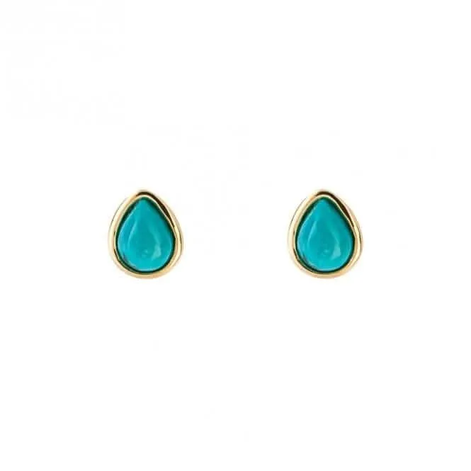 Gold Plated Birthstone December Turquioise Earrings E6213 Beginnings Jewellery
