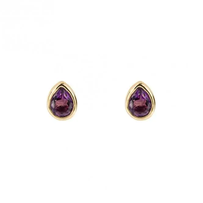 Gold Plated Birthstone February Amethyst Earrings E6203 Beginnings Jewellery
