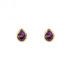 Gold Plated Birthstone February Amethyst Earrings E6203 Beginnings Jewellery