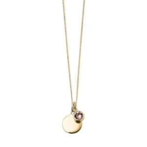June Yellow Gold Plated Birthstone Engravable Disc Swarovski Necklace P5013 Beginnings Jewellery