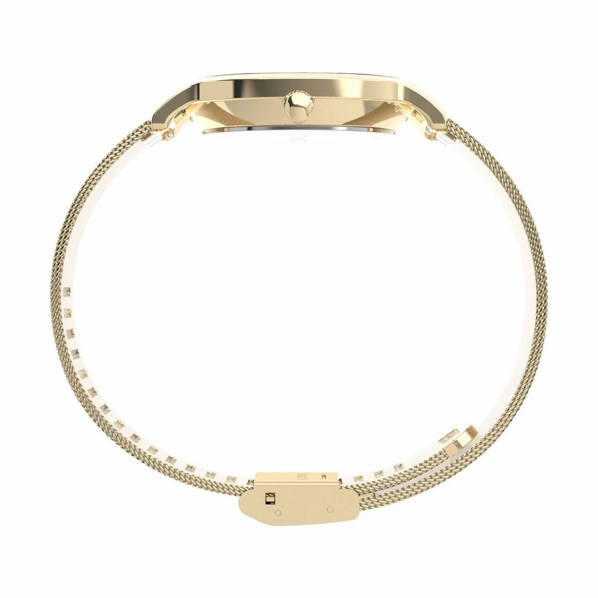 Ladies Transcend Gold Tone Watch TW2Y10300
