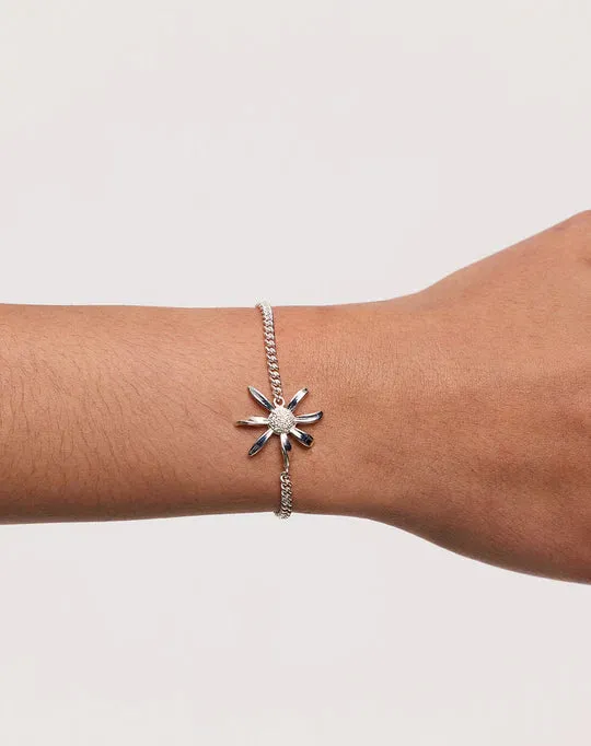 Meadowlark Jewellery Meadowlark - Daisy Charm Bracelet 17cm Sterling Silver
