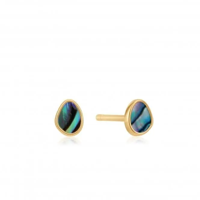 Shiny Gold Tidal Abalone Stud Earrings E027-04G Ania Haie Jewellery