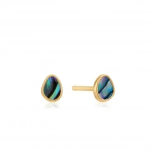 Shiny Gold Tidal Abalone Stud Earrings E027-04G Ania Haie Jewellery