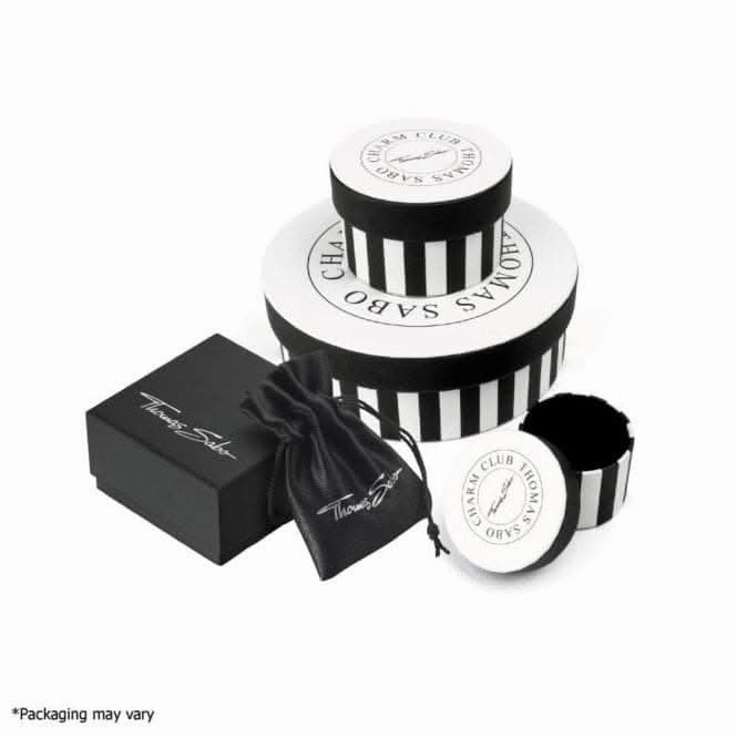 Stainless Steel Dial Black Elements Of Nature Mens Watch WA0389-202-203