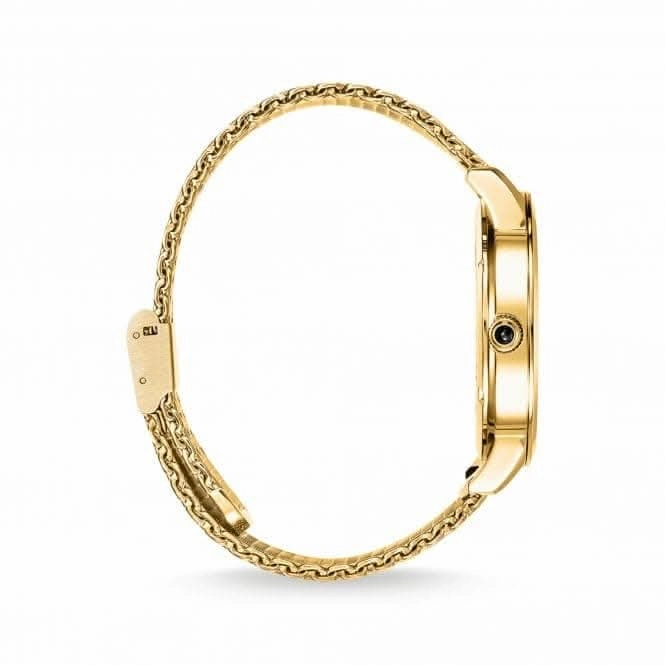 Stainless Steel Dial Gold-Coloured Elements Of Nature Mens Watch WA0388-264-207