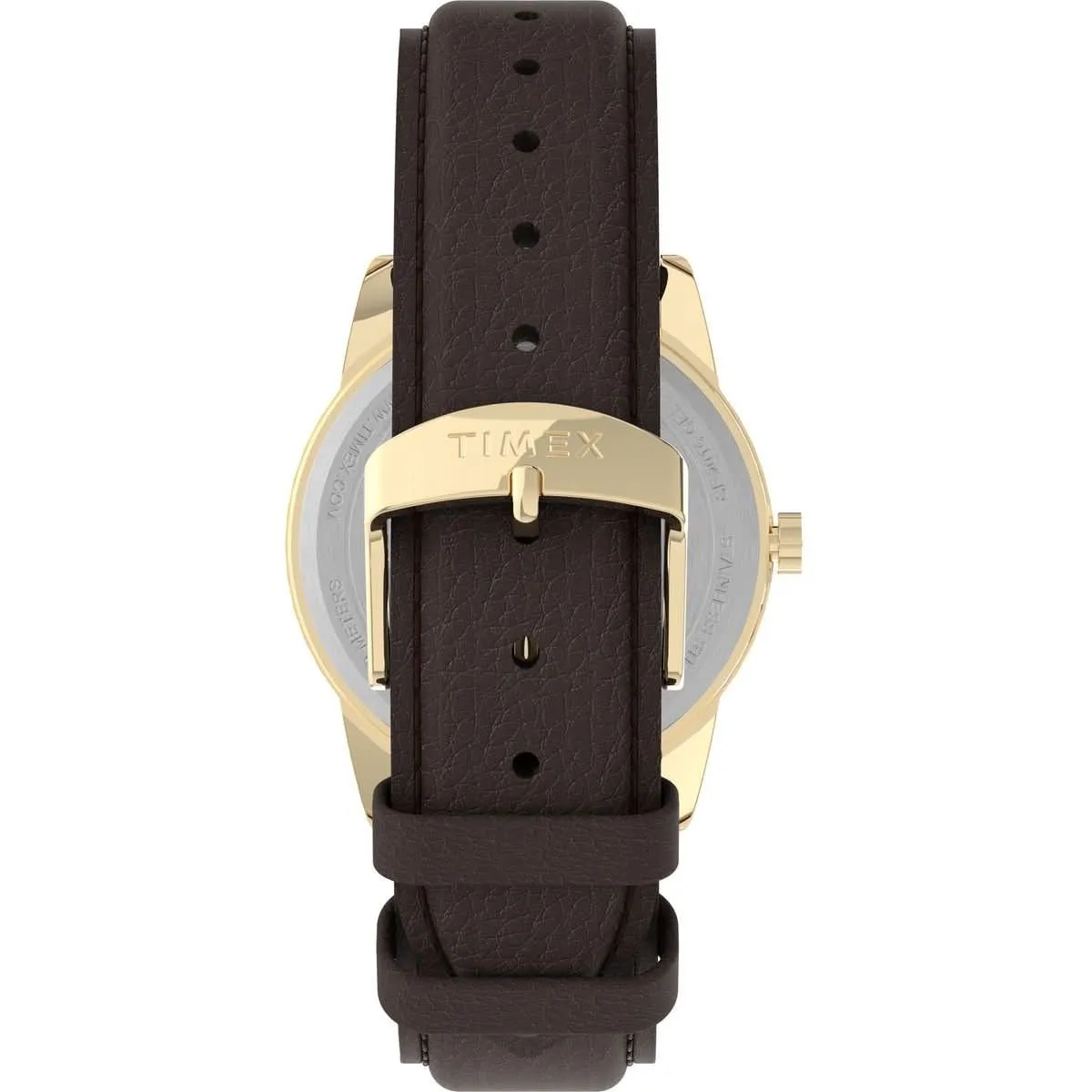 Timex Gents Easy Reader Gold-Tone Watch TW2P75800
