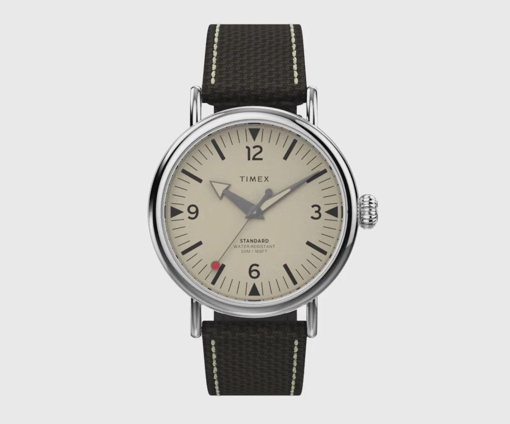 Timex Gents Standard Silver-Tone Watch TW2V44100