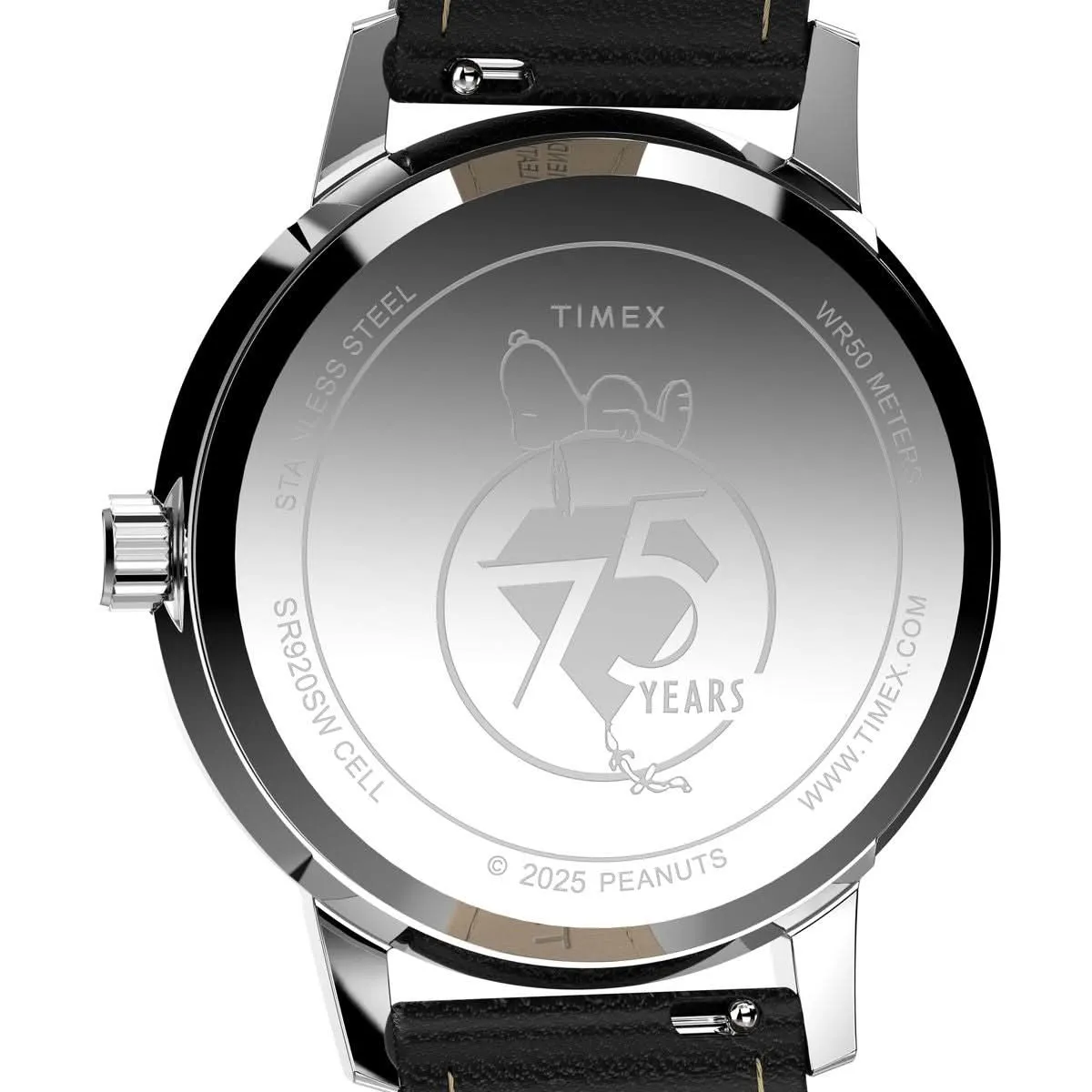Unisex Peanuts Marlin Stainless Steel Watch TW2Y19900