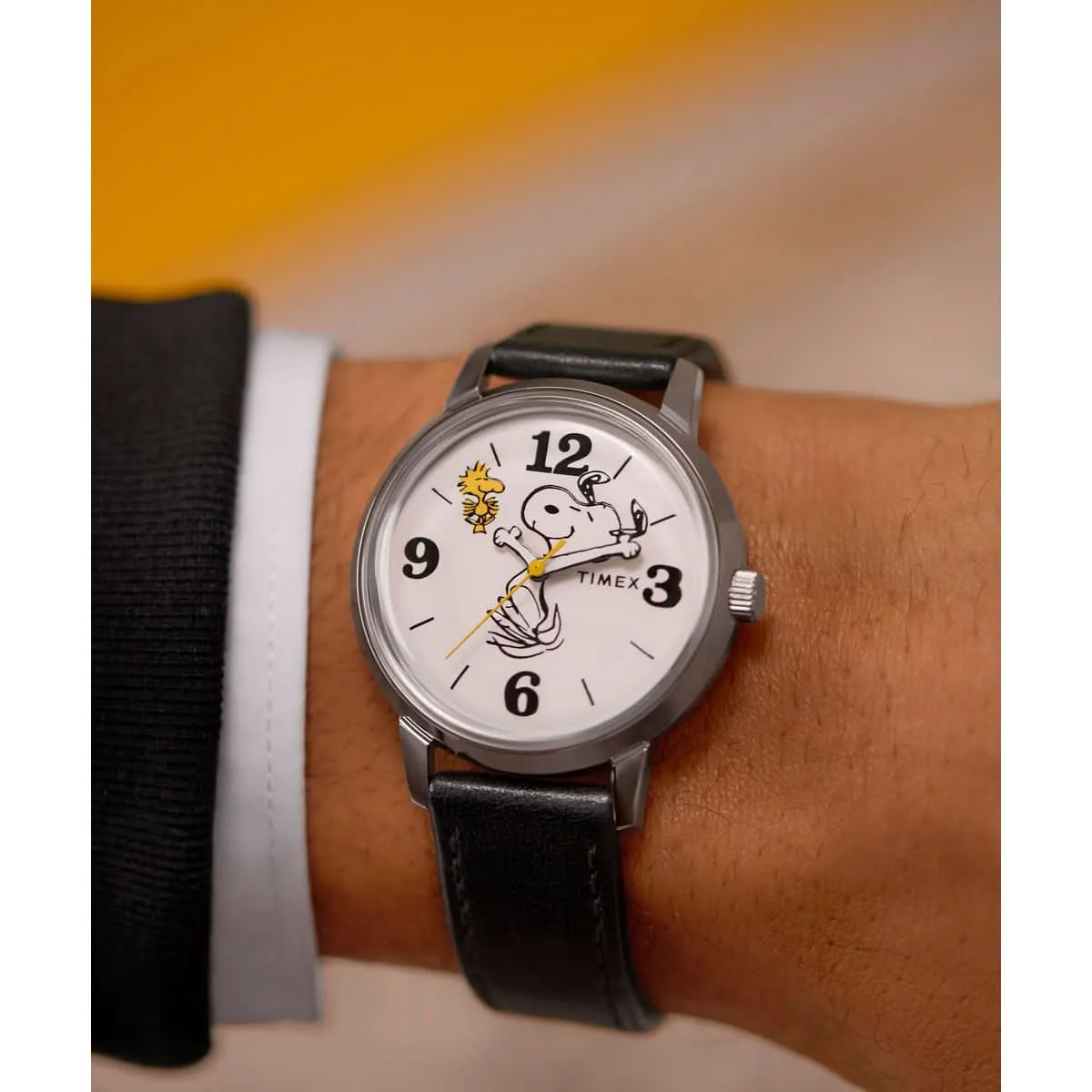 Unisex Peanuts Marlin Stainless Steel Watch TW2Y19900