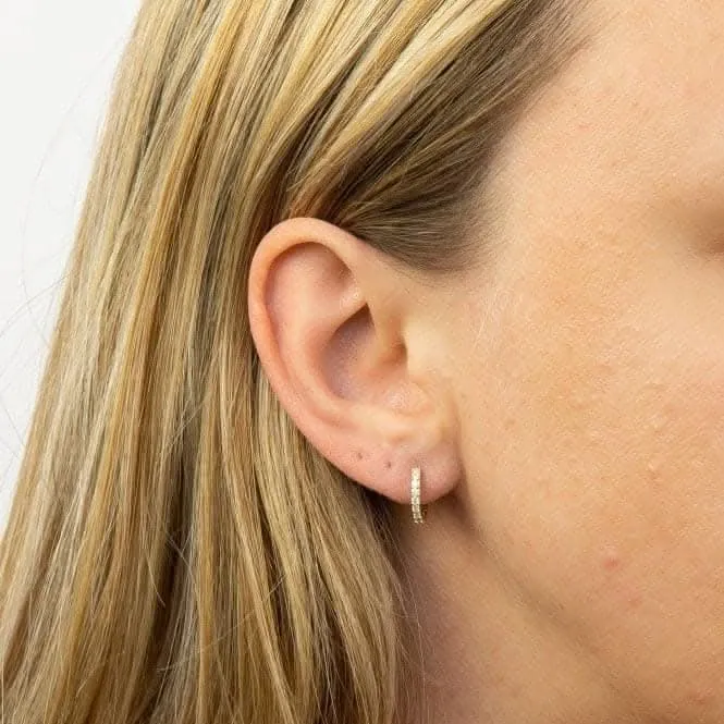 Yellow Gold Plated Hoop Earrings with Zirconia E6049C Beginnings Jewellery
